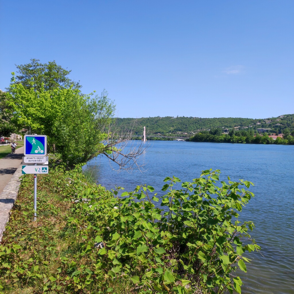Un panneau voie verte et une indication de direction de la ViaRhôna avec à gauche le chemin et à droite le fleuve très bleu.